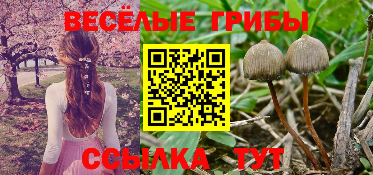 Псилоцибиновые грибы MAGIC MUSHROOMS Оренбург
