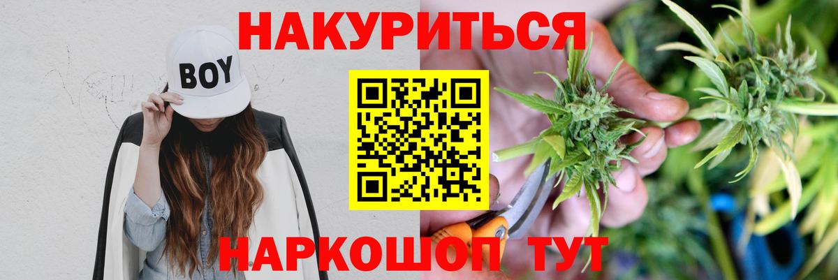 Канабис сатива Оренбург